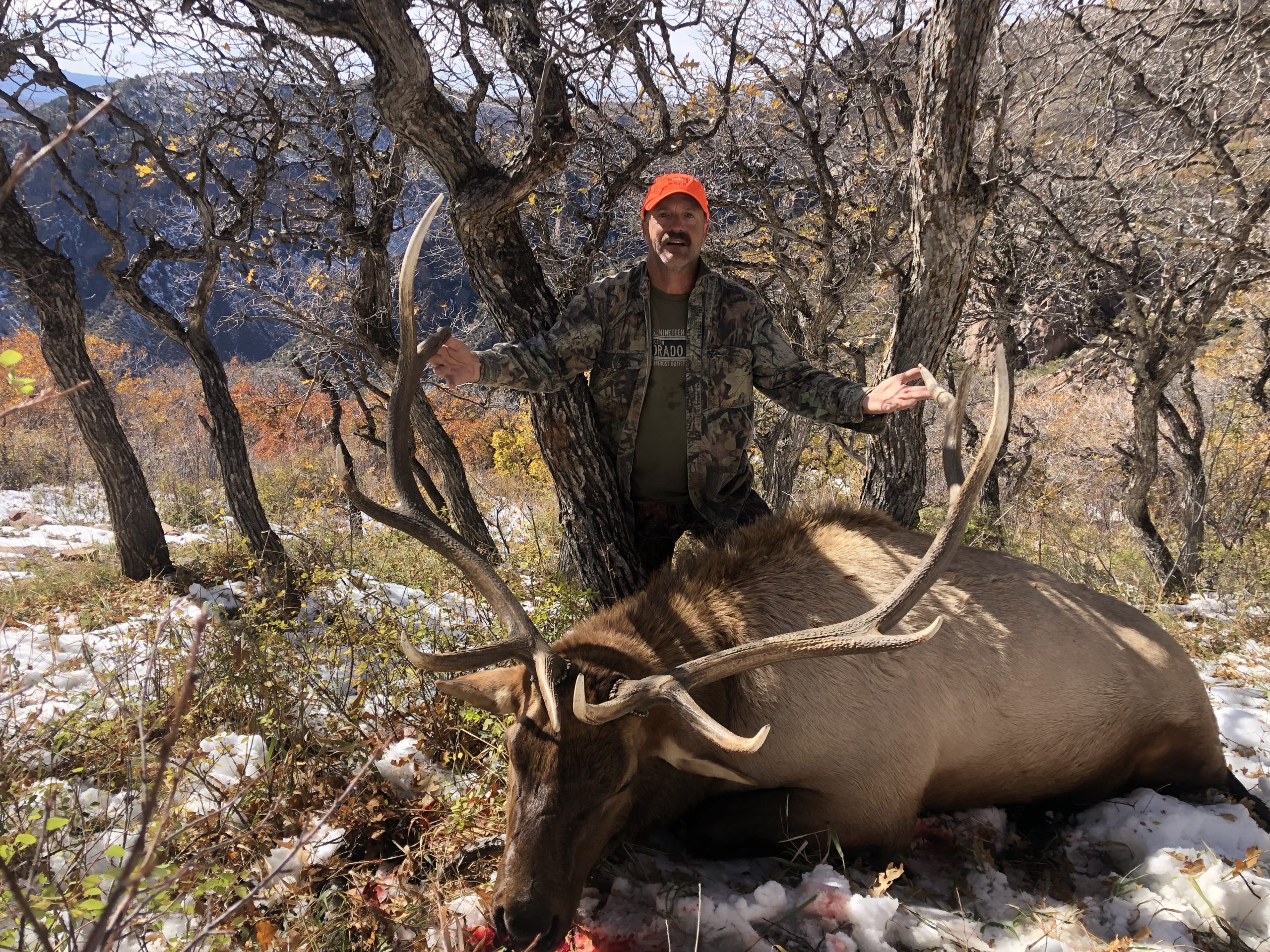 Walt's Bull Elk 2021